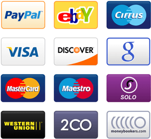 ecommerce payment options